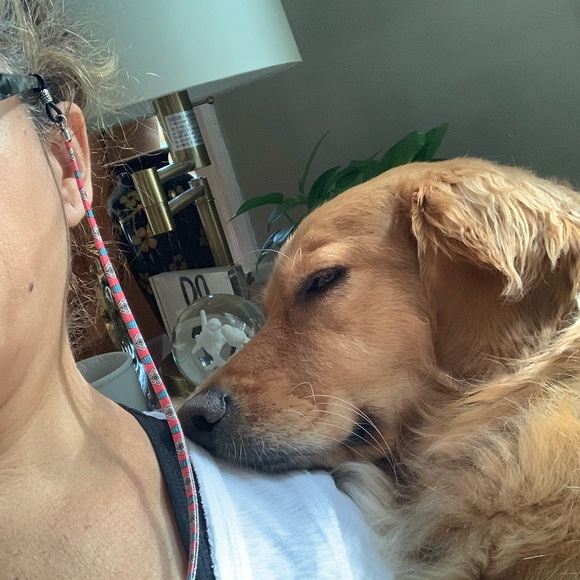 Meet your Posher, Yazmin - Picture 7 of 8